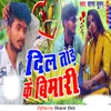 About Dil Tode Ke Bimari Song